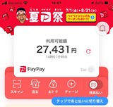(11) 支払いに使える残高に