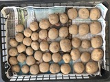 (7) 購入種芋48個@1,155円