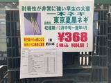 (7) 東京長ねぎ