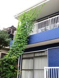 Gカーテン屋外から