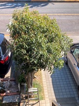 (4) AFTER 2026-03-24 13 21 07