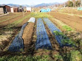 (7)荒廃