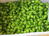 hop-3