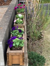 (7) ウッドプランター