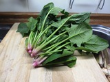 ほうれん草