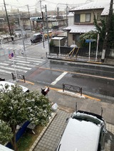 雪が降った 2025-03-19 8 43 35