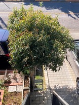 (1) BEFORE 2026-03-24 9 10 29