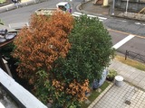 (8)09-01