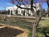 富士通 2018_03_03