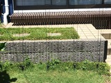 (2)