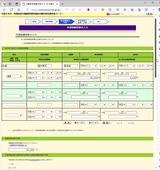 (4) 外国税額控除(AAPL)の入力