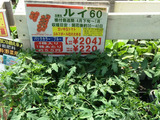 a7b8416a