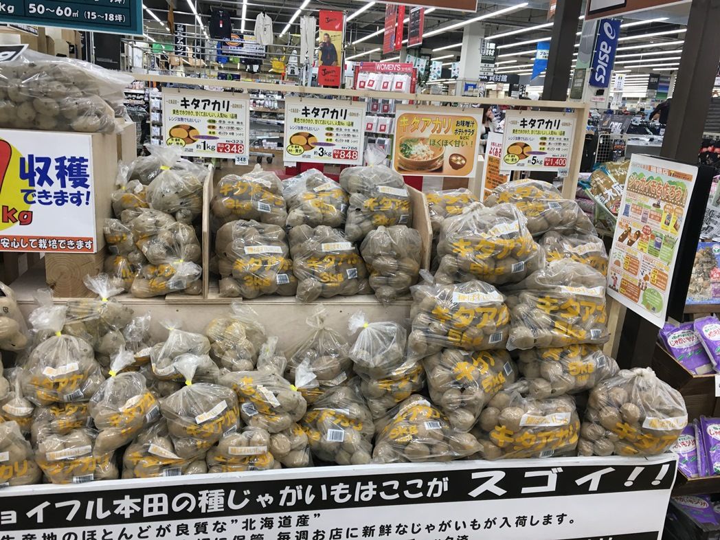 今年のじゃがいも作付け 楽しく自律するこれからの生き方 Apocワークスへようこそ 今年のじゃがいも作付け 楽しく自律するこれからの生き方 Apocワークスへようこそ