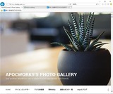 wordpress