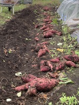 写真 2025-10-12 9 29 07