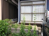 (1)