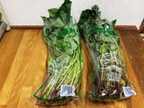 (2) 878円＠JOY本