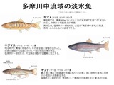 スライド1