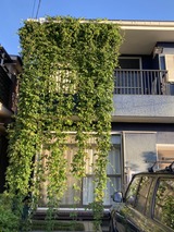 写真 2023-09-02 6 00 42