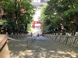 (5) 愛宕神社 13 33 49