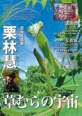 20100227草むらの宇宙