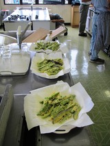 夏野菜のフリット