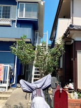 (4) 南側