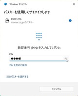 (9) パスキーログイン PIN入力
