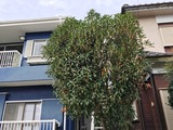 (14)10-01
