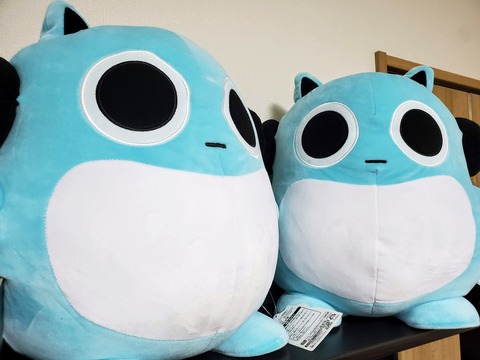 original_1b6c84bf-0798-41c4-b8ac-d8cacec04ea6_20210613_212001