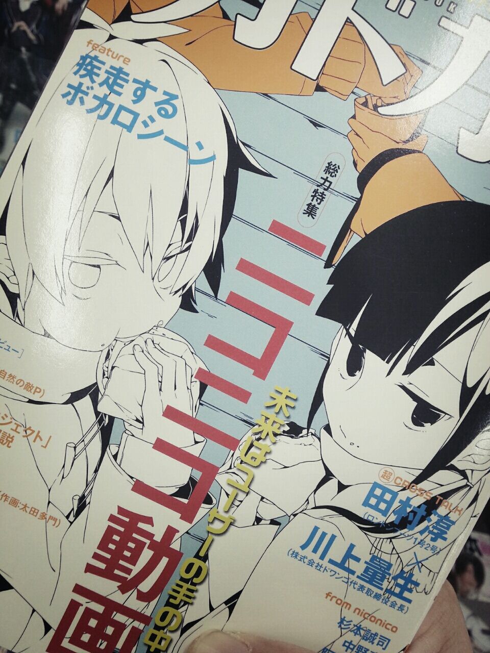 書評 Schizo Sphere 断腸亭 非 日常