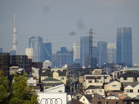 川崎市宮前区から見た六本木、スカイツリー