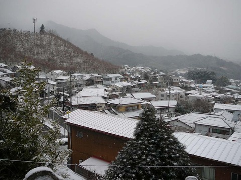 宮崎県の上米良村からです。