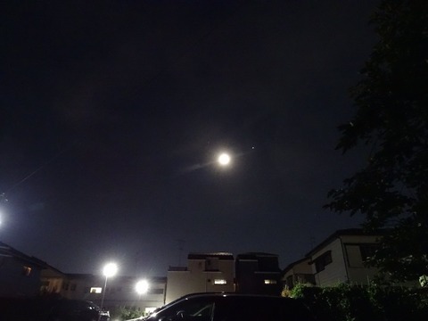 DSC09075
