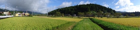 DSC03821