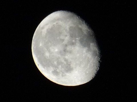 DSC09049