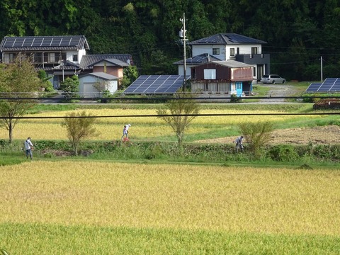DSC04469