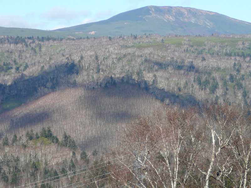 今日も快晴の中山峠でした