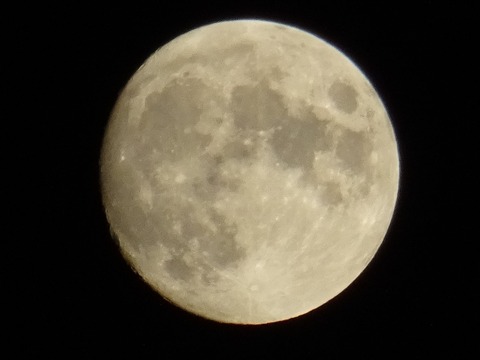DSC09027
