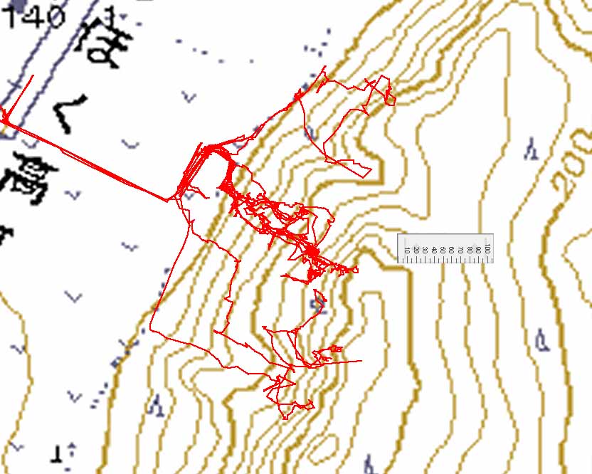 足寄の斜面調査では