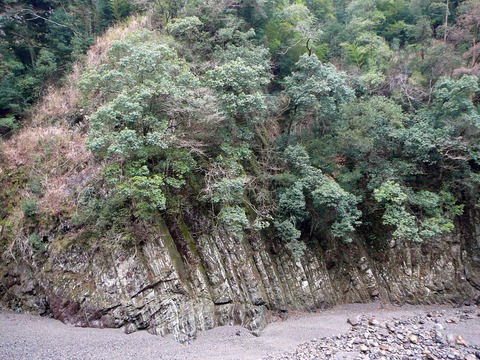 Multi colored mud stone　多色泥岩層