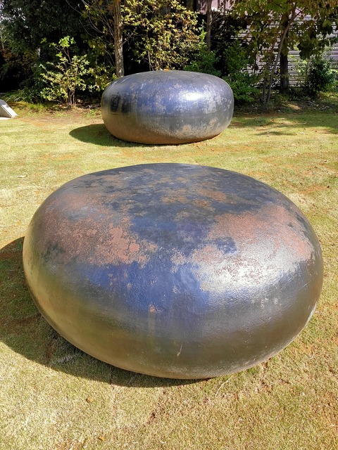 IMG20231029115750