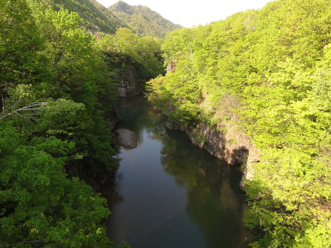 定山渓の山は新緑のきれいな季節になりました。