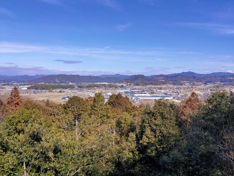 IMG20240210105443