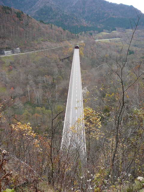 P1020382