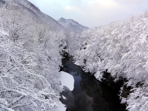 昨日の吹雪で定山渓はこんなにきれいに！