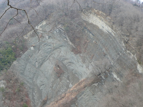 P1430490