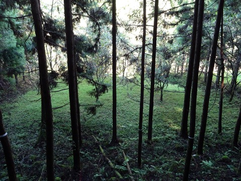 DSC04408