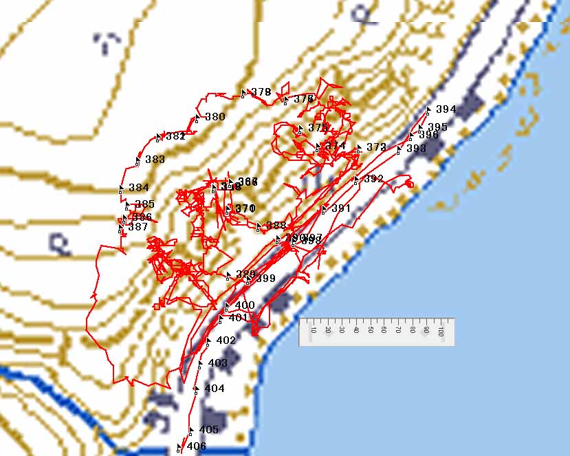 そして羅臼の海岸段丘崖を歩いてきました。