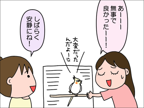 2309wpani56